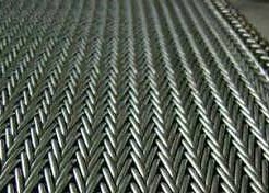 La categoría alimenticia 304 cifró la correa equilibrada compuesta que secaba nueces y las galletas