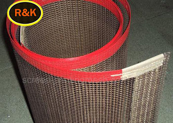 El  cubrió la comida seca Ptfe Mesh Belt de 4*4m m