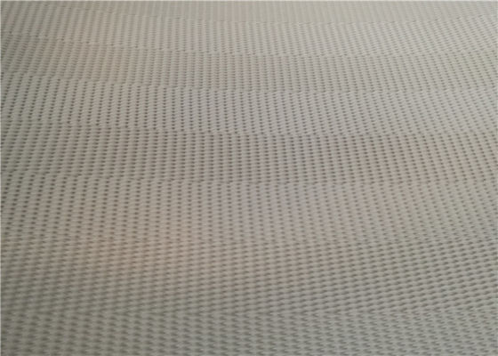 Correa de desecación del barro del poliéster del SGS de la prensa de la fabricación de papel